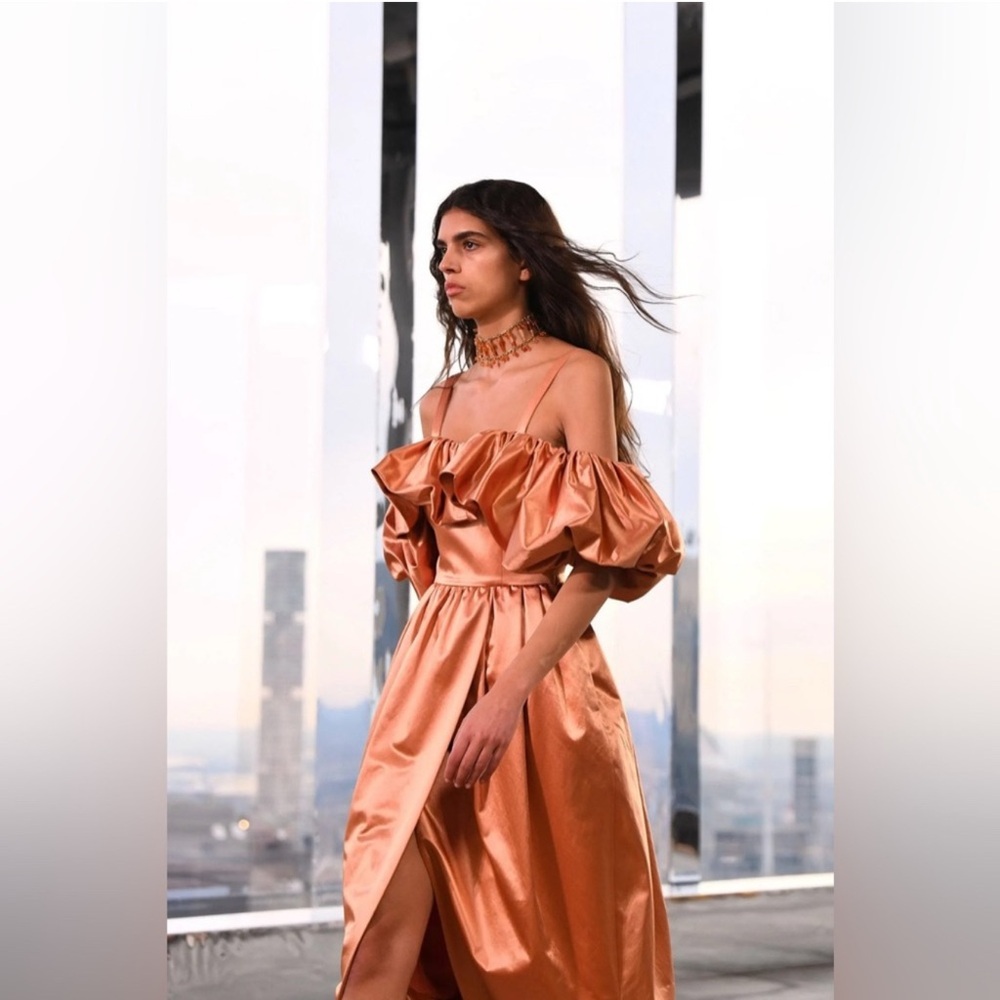 NWT Ulla Johnson Lelita Midi Dress in Copper Sz 4 $1240 - Picture 6 of 14